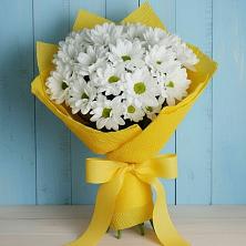 Букет цветов из:  Хризантемы в Сафоново Мурманской области