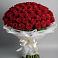 Букет 101 Красная роза Блэк Мэджик в Сафоново Мурманской области