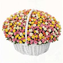 Премиум букет из: Розы в Сафоново Мурманской области