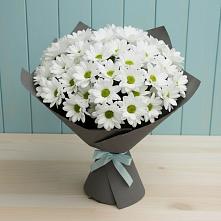 Букет цветов из:  Хризантемы в Сафоново Мурманской области
