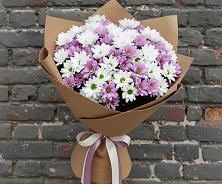 Букет цветов из:  Хризантемы в Сафоново Мурманской области