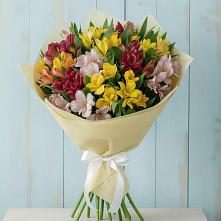 Букет цветов из:  Альстромерии в Сафоново Мурманской области
