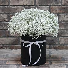 Цветочная композиция из Гипсофила в шляпной коробке в Сафоново Мурманской области
