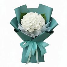 Букет цветов из:  Гортензия в Сафоново Мурманской области